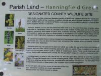 Hanningfield Green